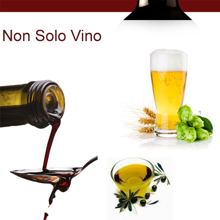NonSoloVino