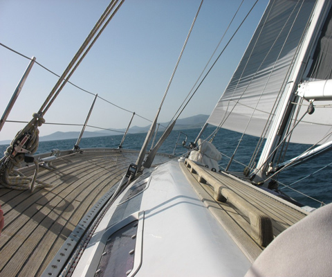 vela